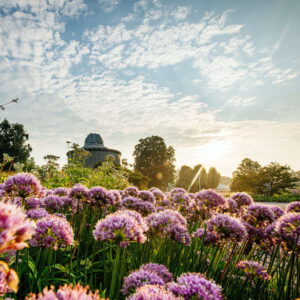 blühschönheiten im egapark für die bundesgartenschau erfut (foto: buga erfurt 2021 ggmbh)
