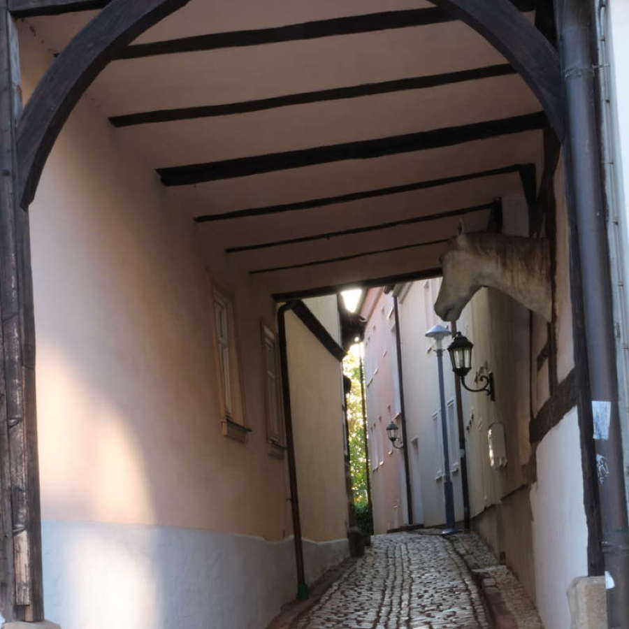 gotha gasse mit pferdekopf (foto: www.optimierwerk.de)